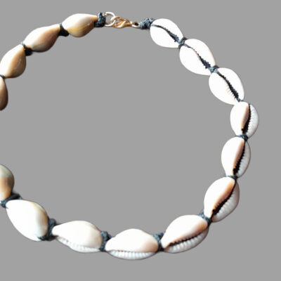 Shell Necklace D3